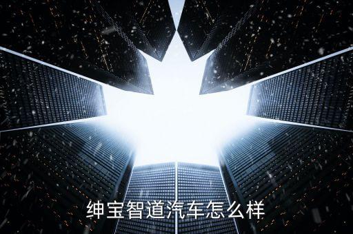 紳寶智道汽車怎么樣