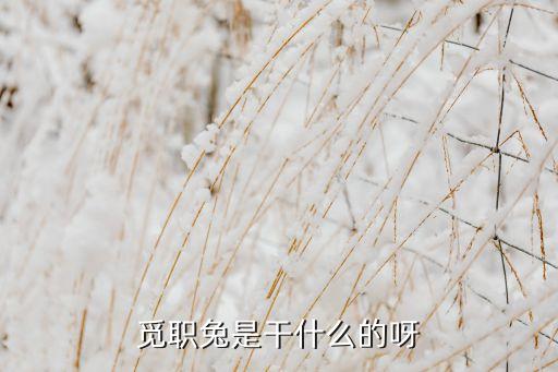 覓職兔是干什么的呀