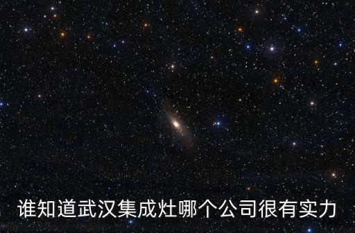 誰知道武漢集成灶哪個(gè)公司很有實(shí)力