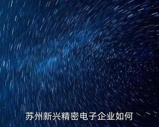 蘇州新興精密電子企業(yè)如何