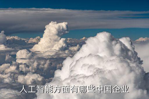 人類智能科技公司有哪些，有哪些專門做人工智能的公司