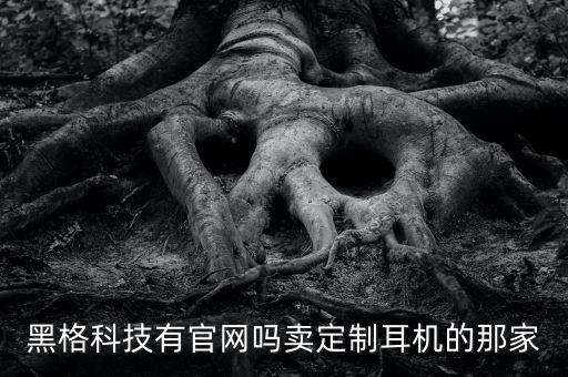 黑格科技有官網(wǎng)嗎賣定制耳機(jī)的那家