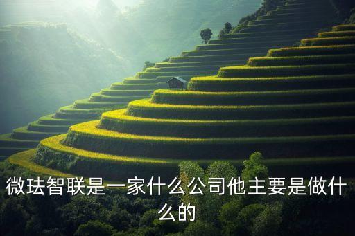 微琺智聯(lián)是一家什么公司他主要是做什么的