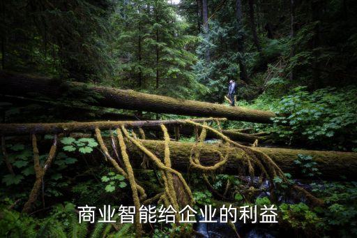 智能科技公司有什么好處，高新技術(shù)企業(yè)到底有什么好處