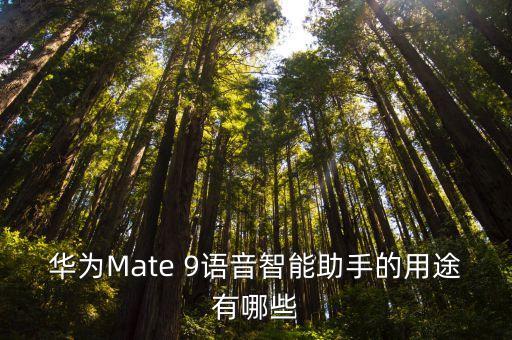 華為Mate 9語音智能助手的用途有哪些