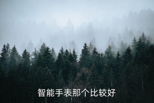 科技智能手表哪個好用一點，有什么好用的智能手表手環(huán)推薦