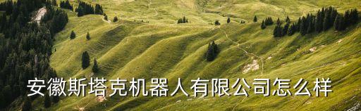 成都佩臣智能科技怎么樣，廣東本臣智能科技有限公司怎么樣