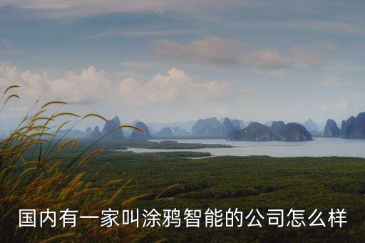 國(guó)內(nèi)有一家叫涂鴉智能的公司怎么樣