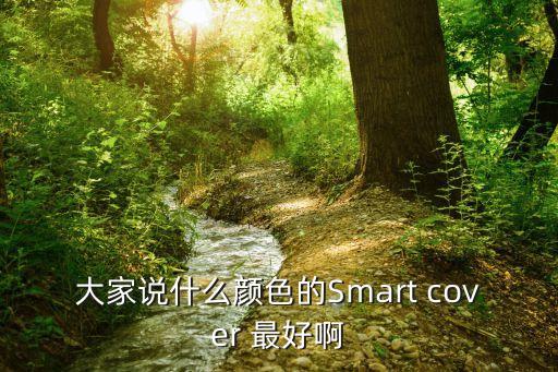 大家說什么顏色的Smart cover 最好啊