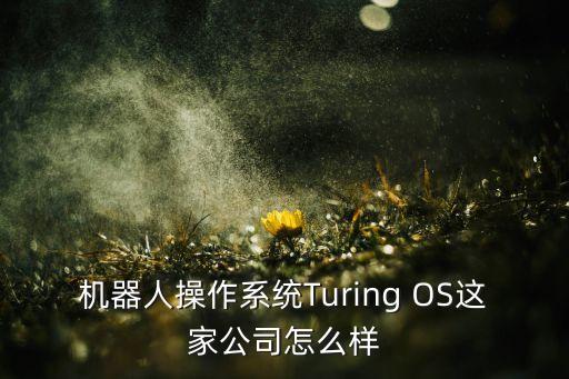 機(jī)器人操作系統(tǒng)Turing OS這家公司怎么樣