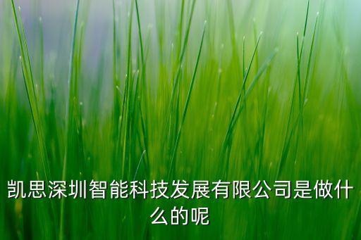 智能科技公司是做什么的，武漢維度美宅智能科技公司是做啥的