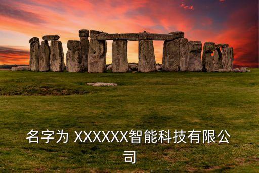 冉申智能科技是什么公司的，上海冉孚電子科技有限公司 可靠嗎