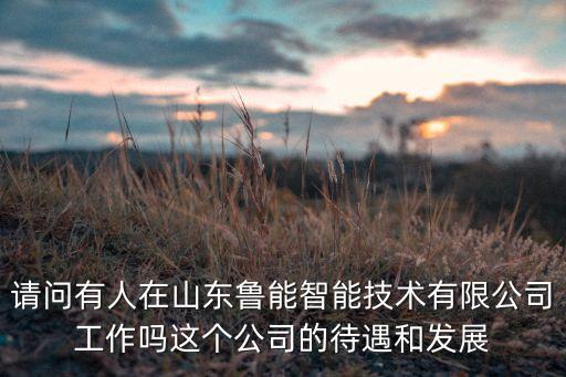 請問有人在山東魯能智能技術(shù)有限公司工作嗎這個(gè)公司的待遇和發(fā)展