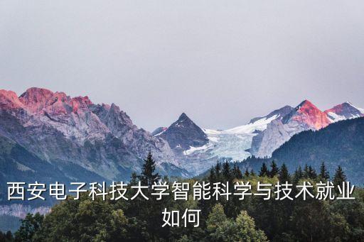 西安電子科技大學(xué)智能科學(xué)與技術(shù)就業(yè)如何