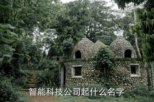 智能科技公司起什么名字