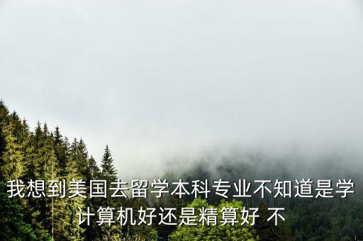 我想到美國(guó)去留學(xué)本科專業(yè)不知道是學(xué)計(jì)算機(jī)好還是精算好 不