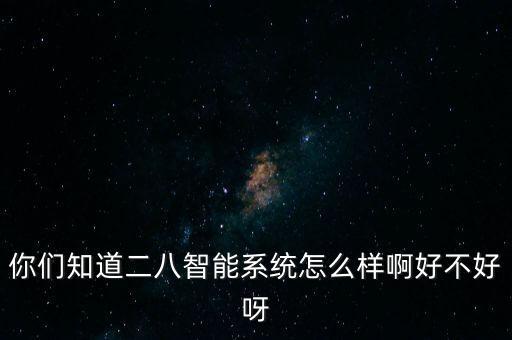 你們知道二八智能系統(tǒng)怎么樣啊好不好呀