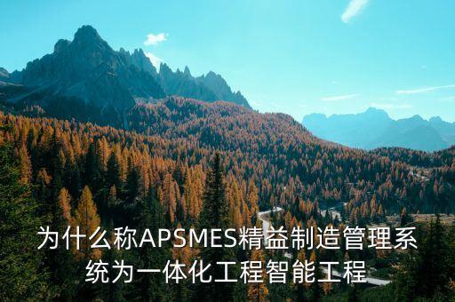 為什么稱APSMES精益制造管理系統(tǒng)為一體化工程智能工程