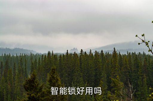 智能鎖好用嗎