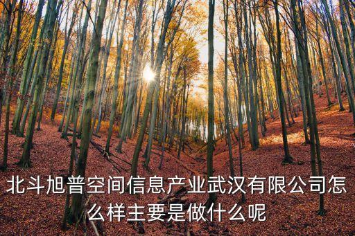 北斗旭普空間信息產(chǎn)業(yè)武漢有限公司怎么樣主要是做什么呢