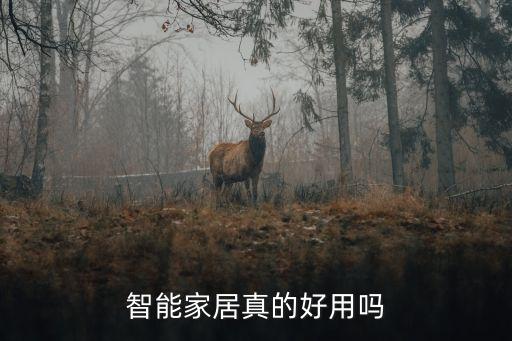 玩居家智能科技怎么樣，智能家居技術(shù)現(xiàn)在怎么樣