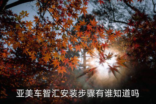 亞美車智匯安裝步驟有誰知道嗎