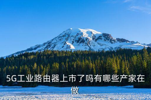 5G工業(yè)路由器上市了嗎有哪些產(chǎn)家在做