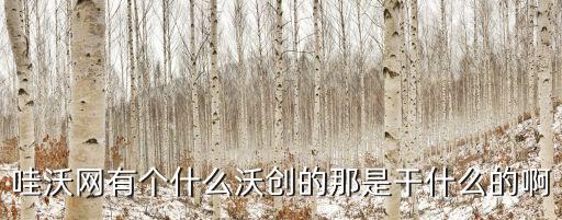 沃創(chuàng)智能科技賣什么，沃泰電子科技有限公司的產(chǎn)品有哪些啊