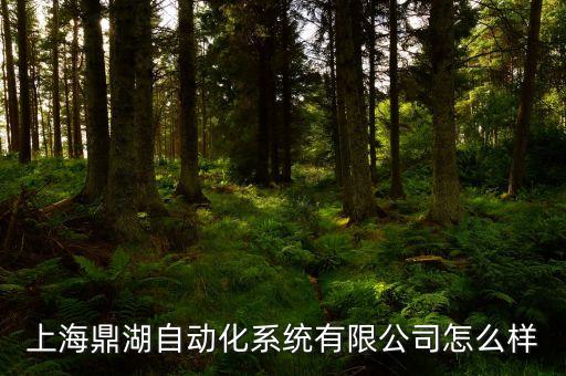 上海鼎湖自動(dòng)化系統(tǒng)有限公司怎么樣