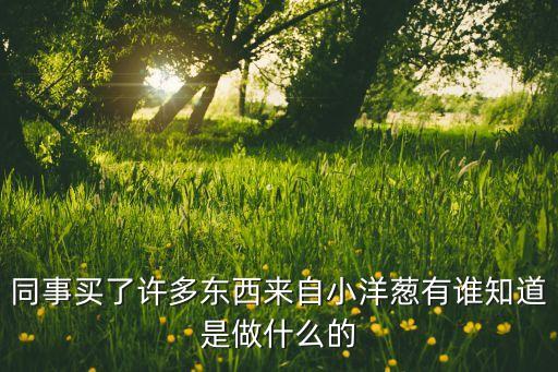 小洋蔥智能科技怎么樣啊，小洋蔥里的東西怎么樣他提倡的超級(jí)生活理念是怎樣的