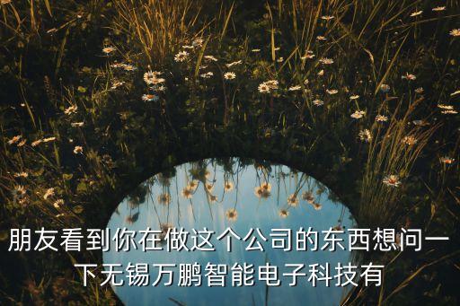 無錫電子智能科技是什么，朋友看到你在做這個公司的東西想問一下無錫萬鵬智能電子科技有