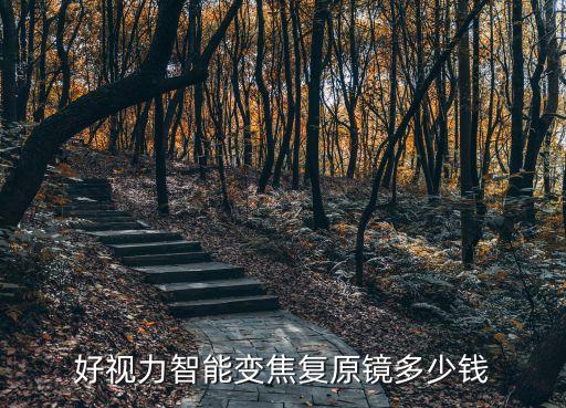 好視力智能變焦復原鏡多少錢
