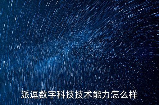 派逗數(shù)字科技技術能力怎么樣