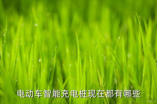 電動(dòng)車智能充電樁現(xiàn)在都有哪些