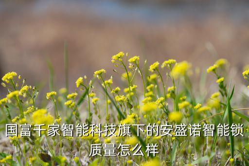 國富千家智能科技旗下的安盛諾智能鎖質(zhì)量怎么樣
