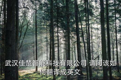 武漢佳楚智能科技有限公司 請問該如何翻譯成英文