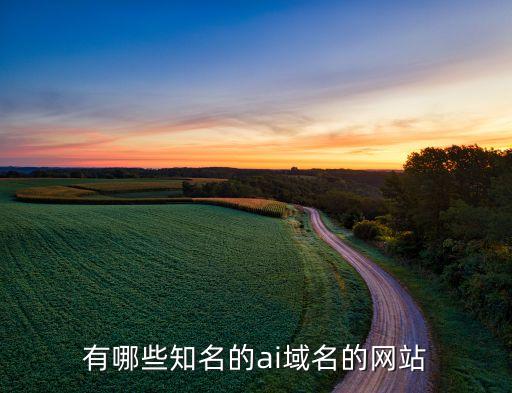 有哪些知名的ai域名的網(wǎng)站