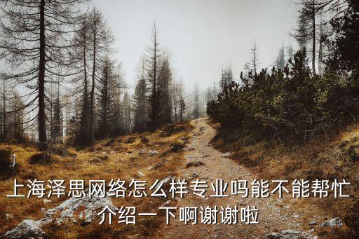 上海澤思網(wǎng)絡(luò)怎么樣專業(yè)嗎能不能幫忙介紹一下啊謝謝啦