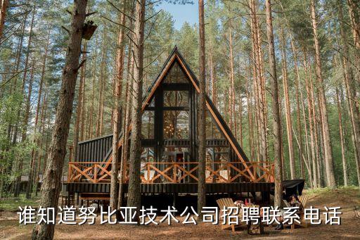 誰知道努比亞技術(shù)公司招聘聯(lián)系電話