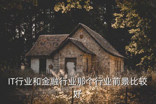IT行業(yè)和金融行業(yè)那個(gè)行業(yè)前景比較好