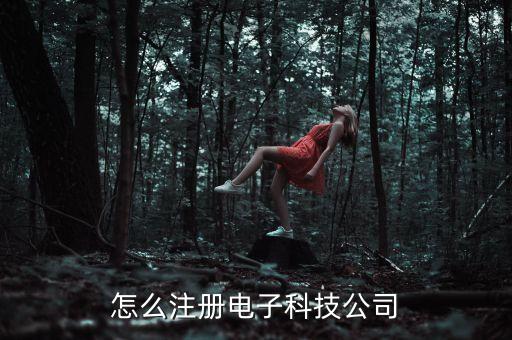 怎么注冊(cè)電子科技公司