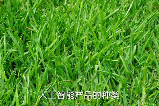 人工智能產(chǎn)品的種類
