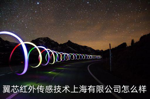 翼芯紅外傳感技術(shù)上海有限公司怎么樣