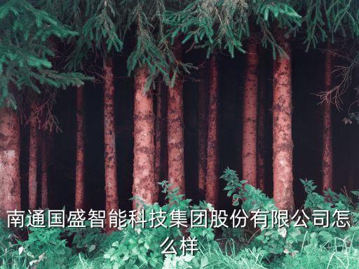 南通國(guó)盛智能科技集團(tuán)股份有限公司怎么樣