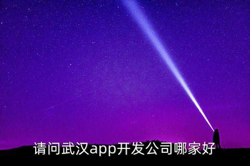請問武漢app開發(fā)公司哪家好