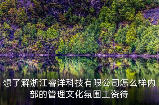 想了解浙江睿洋科技有限公司怎么樣內(nèi)部的管理文化氛圍工資待