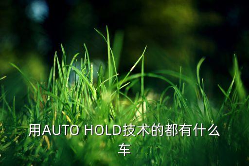 用AUTO HOLD技術(shù)的都有什么車