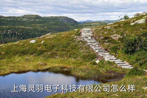 上海劍羽智能科技怎么樣，上海洪劍智能科技有限公司怎么樣