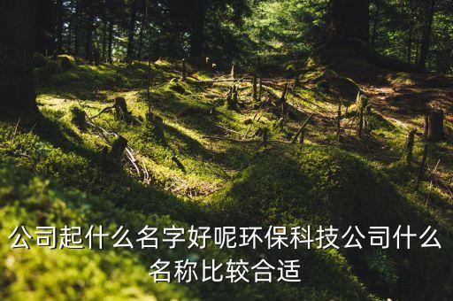 智能科技環(huán)保公司如何取名，公司起什么名字好呢環(huán)?？萍脊臼裁疵Q比較合適