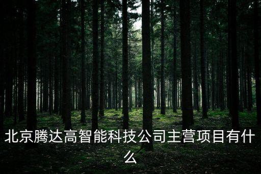 北京騰達(dá)高智能科技公司主營項(xiàng)目有什么